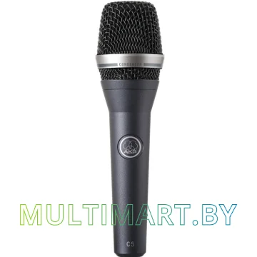 Микрофон AKG C5